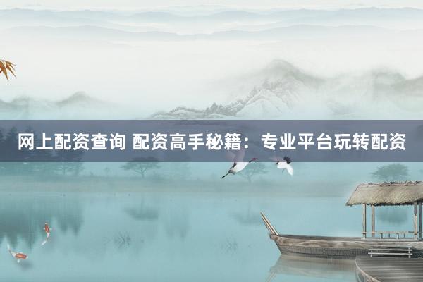 网上配资查询 配资高手秘籍：专业平台玩转配资