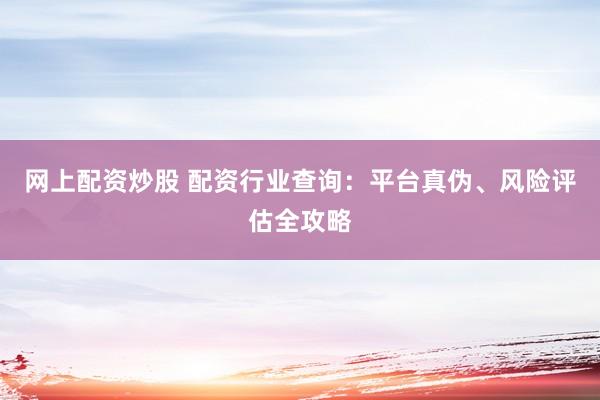 网上配资炒股 配资行业查询：平台真伪、风险评估全攻略