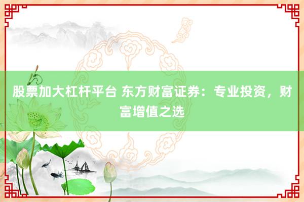 股票加大杠杆平台 东方财富证券：专业投资，财富增值之选
