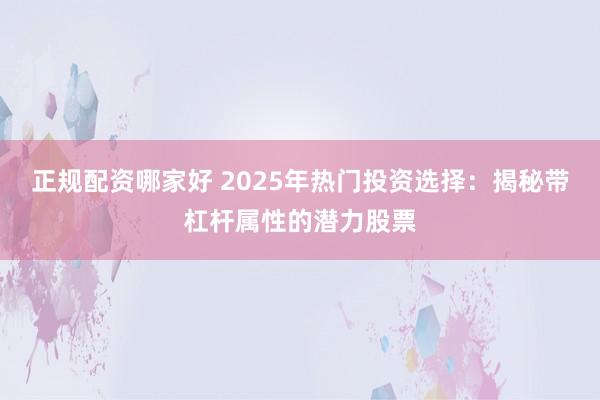 正规配资哪家好 2025年热门投资选择：揭秘带杠杆属性的潜力股票