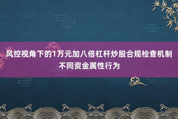 风控视角下的1万元加八倍杠杆炒股合规检查机制不同资金属性行为