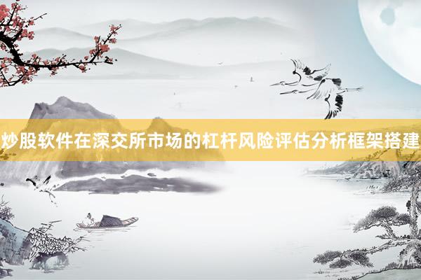 炒股软件在深交所市场的杠杆风险评估分析框架搭建