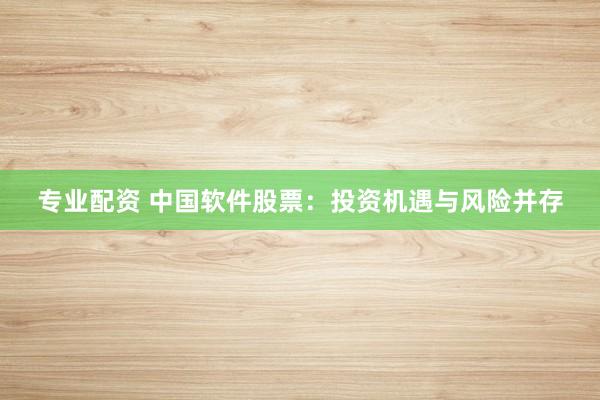 专业配资 中国软件股票：投资机遇与风险并存